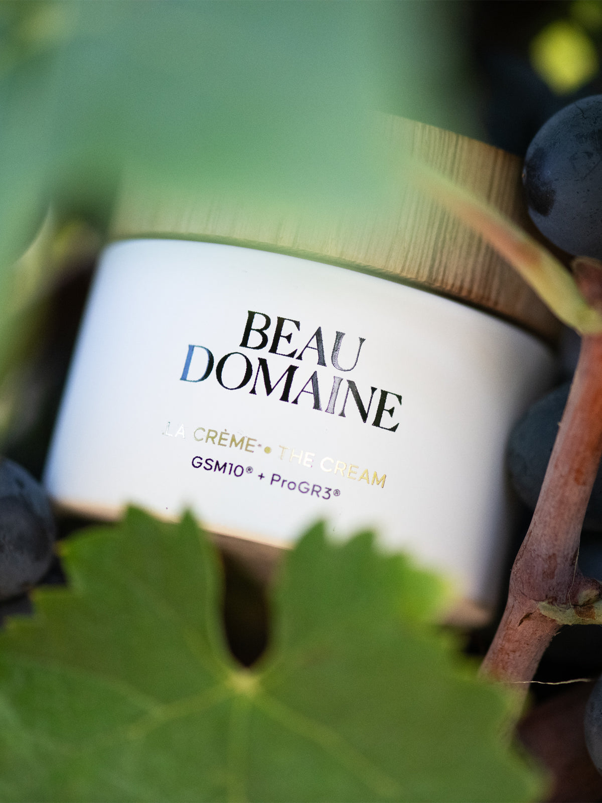 Beau Domaine by Brad Pitt & Famille Perrin